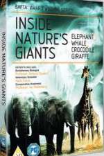 Watch Inside Nature's Giants 123moviesFree