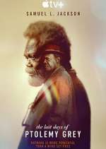 Watch The Last Days of Ptolemy Grey 123moviesFree