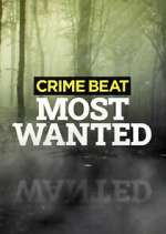 Watch Crime Beat: Most Wanted 123moviesFree
